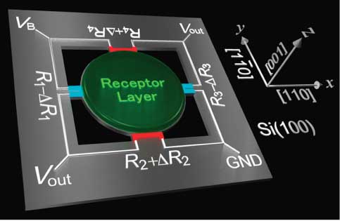 Figure 5 Schematic illustration of the membrane-type surface stress sensor with p-type piezoresistors on n-type single crystal Si(100). Reproduced with permission from Yoshikawa et al. (2011).