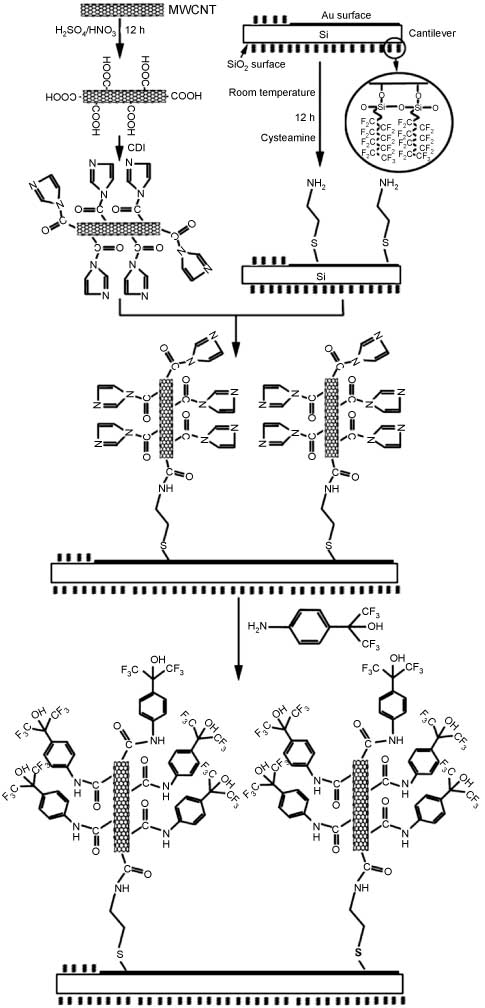 Figure 6 The entire process of the MWCNTs for material modification, immobilization on Au surface at the cantilever end, and TNT-sensitive functionalization. Reproduced with permission from Xu et al. (2010).