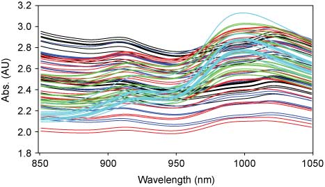 Figure 1 The raw absorbance spectra of mixtures of gluten and starch powder with different weight ratios (black lines, 1:0; blue lines, 0.75:0.25; red lines, 0.5:0.5; green lines, 0.25:0.75; cyan lines, 0:1). (Reprinted with permission from Z.P. Chen et al. Anal. Chem.2006, 78, 7674–7681. Copyright 2006 American Chemical Society.)