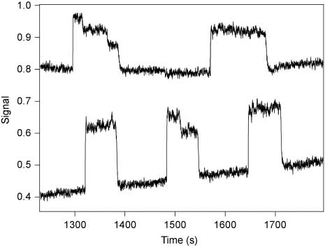 Figure 10 Assay of individual molecules of β-galactosidase as the inhibitor d-galactal dissociates. Portions of the resultant electropherograms from single molecule assays of β-galactosidase as the slow-release inhibitor d-galactal dissociates are shown. A 40-cm-long, 5-μm inner diameter capillary was used along with an electric field of 400 V cm-1. The buffer was 10 mm HEPES (pH 7.3) containing 1.3 mm KCl and 68 mm NaCl. In the lower trace, box-shaped peaks for three individual molecules are observed. In the middle peak, there is a shift in the height of the peak due to the activation of a single subunit. In the upper trace, two peaks are observed. In the earlier eluting peak, there are two stepwise changes in the peak height due to the sequential activation of two individual subunits.