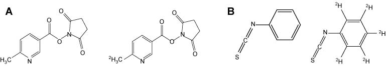 Figure 4 Example precursor quantification tags: (A) 1-(6-methylnicotinoyloxy)succinimide and (B) phenylisothiocyanate, which incorporate mass shifts of 3 and 5 Da, respectively.