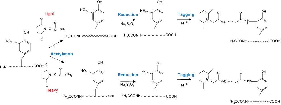 Figure 5 Schematic representation of the chemical derivatization steps performed in the cPILOT strategy. Reprinted (adapted) with permission from: Robinson and Evans (2012). Copyright 2012, American Chemical Society.