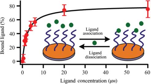 Figure 1 Determination of dissociation constant (Kd). Fraction of ligand-bound receptors is plotted with concentration of a ligand. The solid curve is a Langmuir isotherm fitting to obtain Kd. Inset shows a schematic of a binding process.