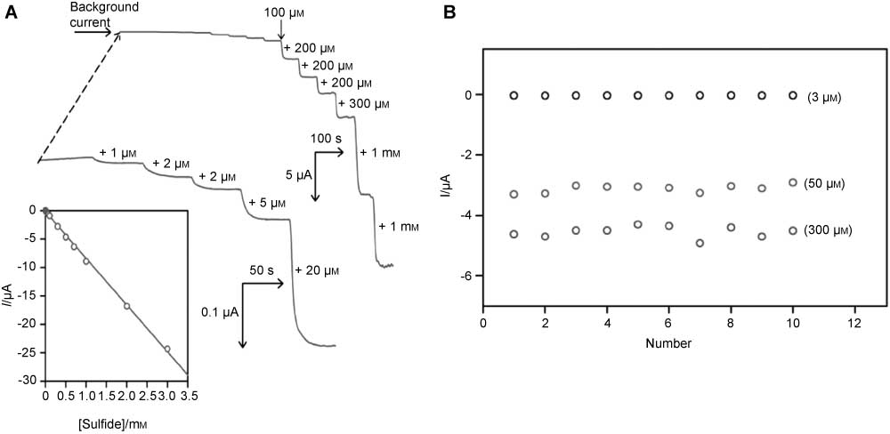 Figure 3 (A) Chronoamperometric response of sulfide at the FeCN-PIL-SPCE in pH 7, 0.1 m PBS at a detection potential of 0.0 V versus Ag/AgCl. The insert graph is the calibration curve with a linear concentration range of 1 μm to 3 mm; and (B) the results at the FeCN-PIL-SPCE for 10 continuous additions of 3 μm, 50 μm and 300 μm sulfide, respectively.