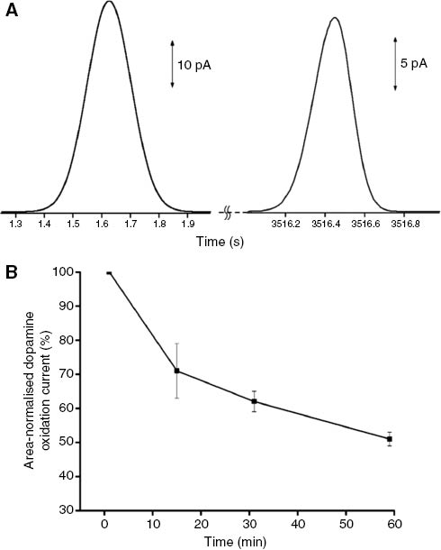 Figure 3: Gaussian-fitted dopamine oxidation signals obtained upon repeated electrical stimulations in the rat striatum at the start (left) and after 60 min (right) of monitoring at a hydrogenated carbon electrode (A) and a plot of electrode area normalised current measured over a 60-min period at hydrogenated carbon electrodes implanted in the rat striatum (B).Reproduced with permission from Chandra et al. (2014).