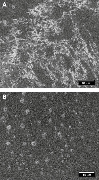 Figure 4: Scanning electron micrographs of (A) polypyrrole and (B) polypyrrole/PSS after 10 cyclic voltammetry scans in a solution of phenol.Reproduced with permission from Pirvu and Manole (2013).