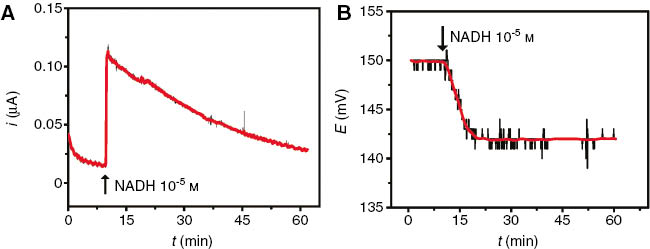 Figure 9: Amperometric response of a bare glassy carbon electrode (A) and potentiometric response of the copper-ion selective electrode (B) to a solution of NADH over 60 min.Reproduced with permission from Chumbimuni-Torres and Wang (2009).