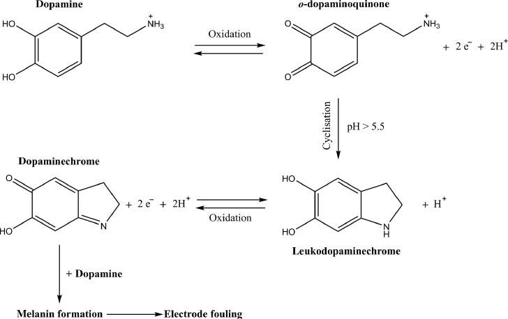 Scheme 1: A mechanism proposed by Harreither et al. (2013) for electrode fouling during the electrochemical oxidation of dopamine in aqueous solutions.