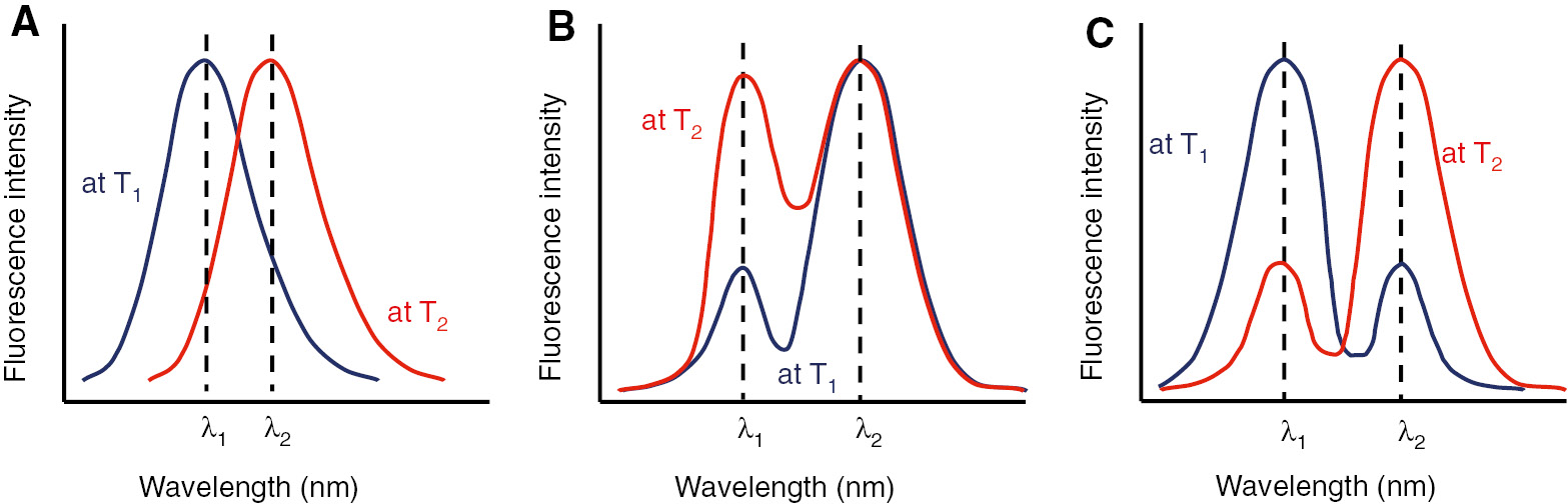 Figure 1: Temperature-dependent emission spectra of ratiometric luminescent molecular thermometers.(A)–(C) represent different types of responses at two temperatures (T1 and T2).