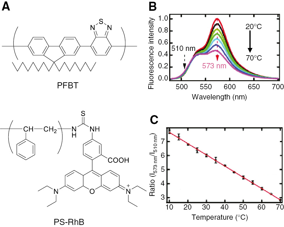 Figure 12: Ratiometric temperature sensing using a combination of PFBT and PS-RhB.(A) Chemical structures of PFBT and PS-RhB. (B) Fluorescence spectra of a mixture of PFBT and PS-RhB in water (λex=450 nm). (C) Temperature-dependent fluorescence intensity ratio at 573 nm to 510 nm [ratio(I573 nm/I510 nm)]. The error bars represent standard deviation of three independent measurements (n=3). Reproduced with permission from Ye et al. (2011). Copyright 2011 American Chemical Society.