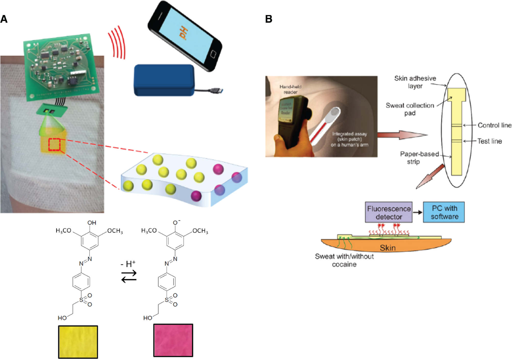 Figure 7: (A) Operation of the wireless smart bandage for optical sensing of wound pH (top); chemical structures of the protonated and deprotonated forms of the indicator dye with their respective colours (bottom) (Kassal et al. 2017). (B) Schematic visualisation of the microfluidic test strip with sample pad and a handheld fluorescence reader for detection of cocaine abuse (Walczak, Kruger, and Moynihan 2015).