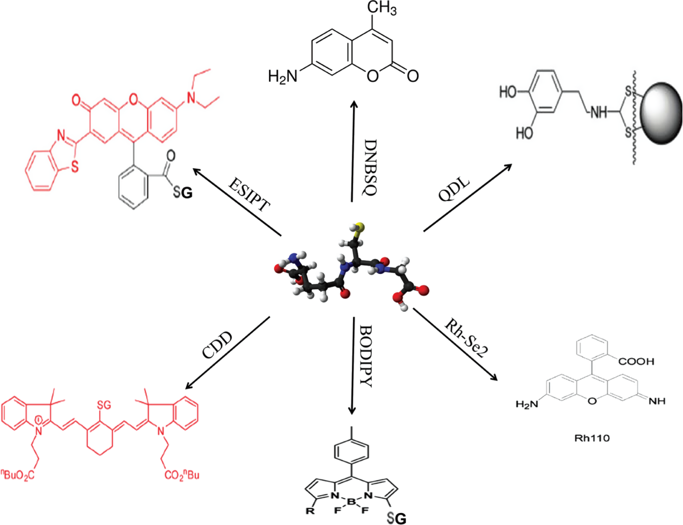 Figure 2: Chemical derivatization reactions used for spectroscopic detection of GSH.