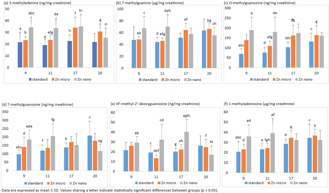 Figure 4 The effect of nano- and micro-sized-zinc on the kinetics of changes (9-11-17-20 week of rat’s life) in the level of: (a) 3-methyladenine, (b) 7-methylguanine, (c) O-methylguanosine, (d) 7-methylguanosine (ng/mg creatinine), (e) N6-methyl-2’-deoxyguanosine, and (f) 1-methyladenosine in urine of rats treated with DMBA.