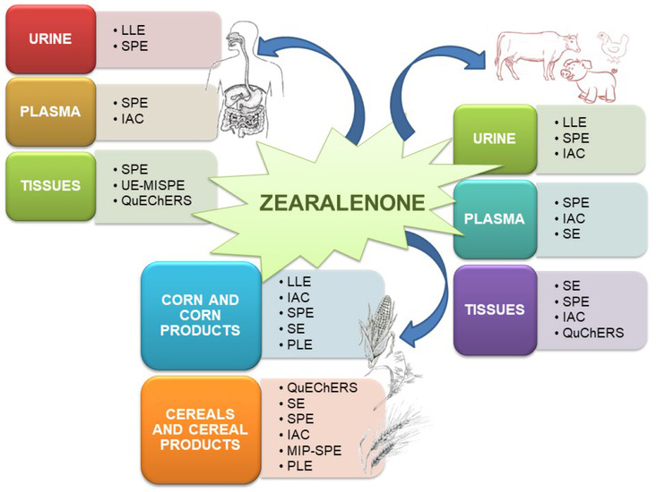 Figure 3 Various extraction techniques for isolation of zearalenone and its metabolites.