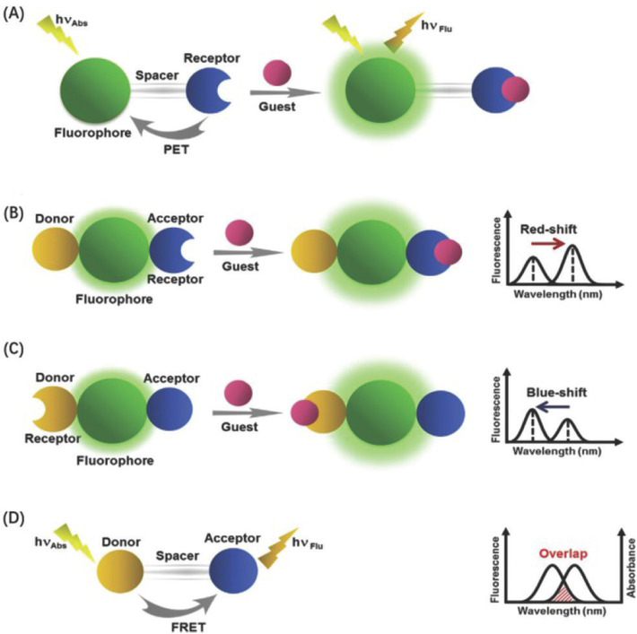 Figure 1 Design principle of nanometer fluorescent probe: (a) PET, (b,c) ICT, (d) FRET. Reprinted image with permission from Ref. [20], Copyright 2019, Elsevier B.V.