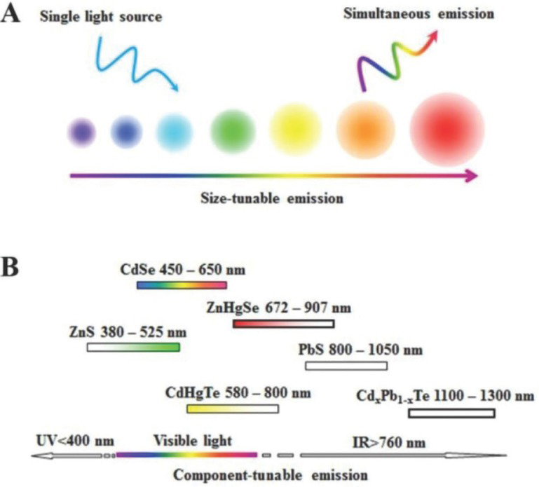 Figure 2 Physical properties of QDs. (a) The fluorescence emission spectrum of QDs is adjustable, and multiple QDs can be excited by a single light source. (b) The emission spectrum of QDs can range from near-infrared region to the ultraviolet region. Reprinted image with permission from Ref. [30], Copyright 2015, American Chemical Society.
