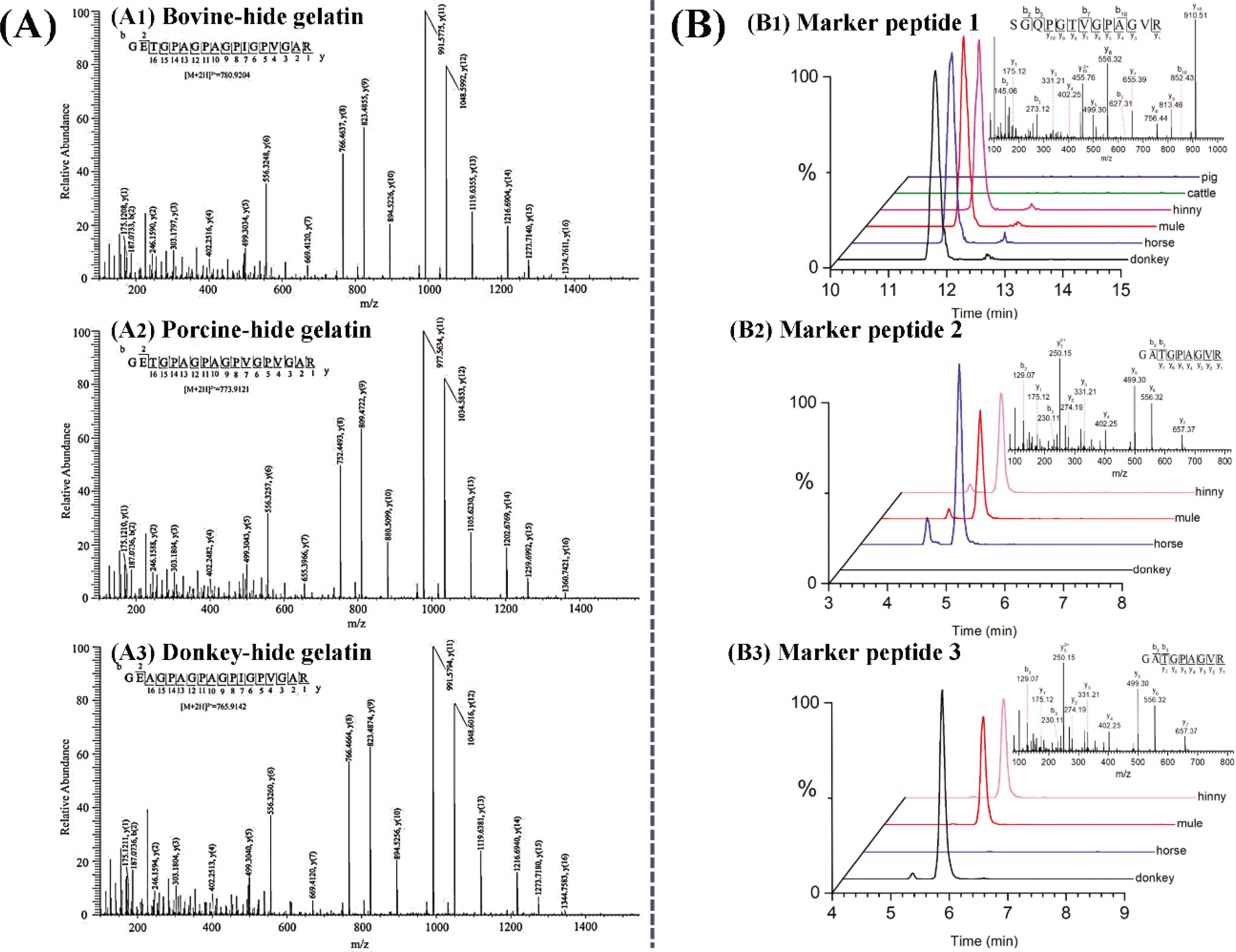 Figure 2 The strategies for identification of donkey-derived gelatin from animal origins with different homology degree. (a) Identification of donkey-derived gelatin from PG and BG with lower homology degree using signal marker peptide (Copyright 2018, Elsevier, License Number 4936280137359) [44]. (b) Identification of donkey-derived gelatin from horse-hide gelatin and hinny-hide gelatin with higher homology degree using marker peptide combination (Copyright 2020, Elsevier, License Number 4936370542390) [26].