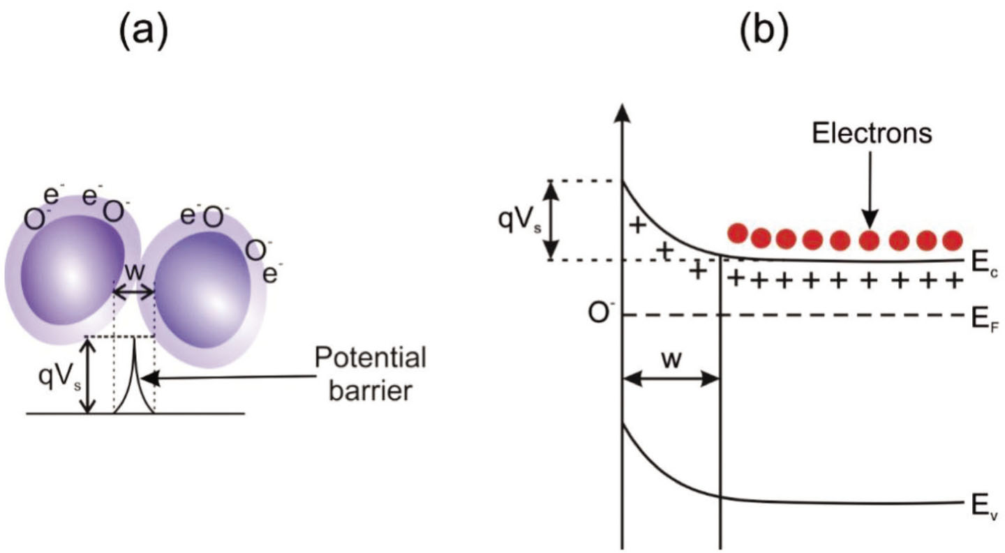 Figure 2 (a) A model showing the ionosorption of atmospheric oxygen and the formation of a potential barrier at the grain boundaries of metal oxide material. (b) The illustration of the band bending in the metal oxide structure due to the ionosorption of atmospheric oxygen on its surface, where EC, EV, and EF are the energy of the conduction band, valence band, and the Fermi level, respectively (original image).