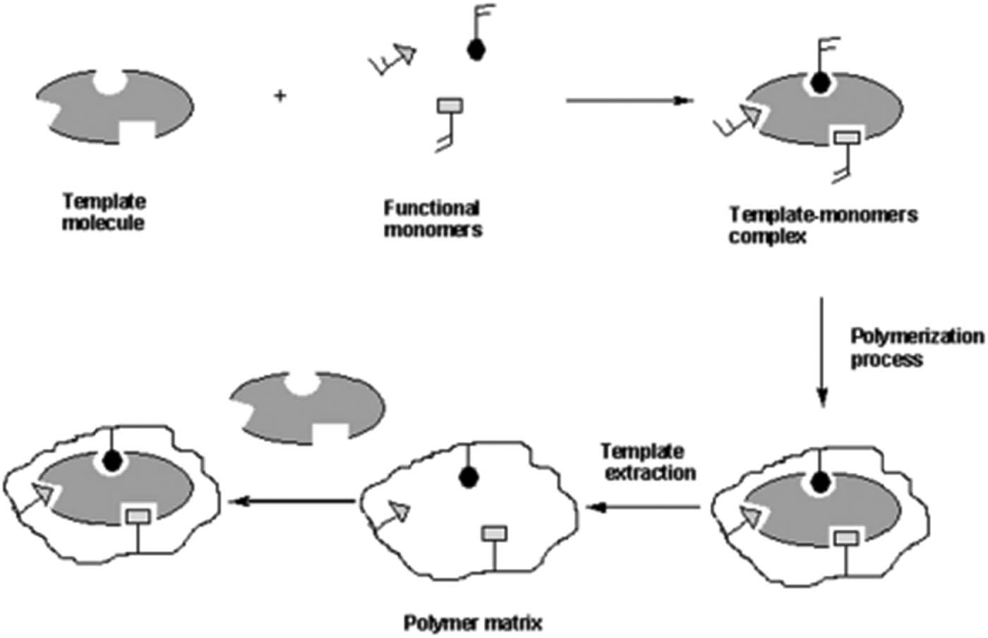 Figure 3 
                     Molecular imprinting process; from ref. [130].
                  