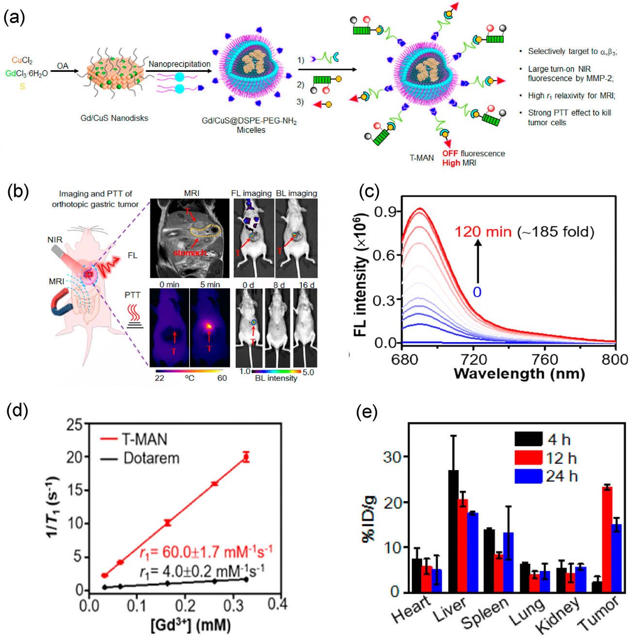 Figure 10 
                  (a) Scheme of preparation of T-MAN nanodisks. (b) Fluorescence/MR imaging and PTT of in situ orthotopic gastric tumors. (c) Fluorescence spectra of T-MAN (0.5 μM MMP-2 substrate) incubated with MMP-2 (10 nM) for different times at 37°C. (d) r1 value of T-MAN and Dotarem at 1 T. (e) Distribution of T-MAN in MKN45 tumors and main organs of mice after administration. Reprinted with permission from Shi et al. [100]. Copyright 2019, American Chemical Society.
               