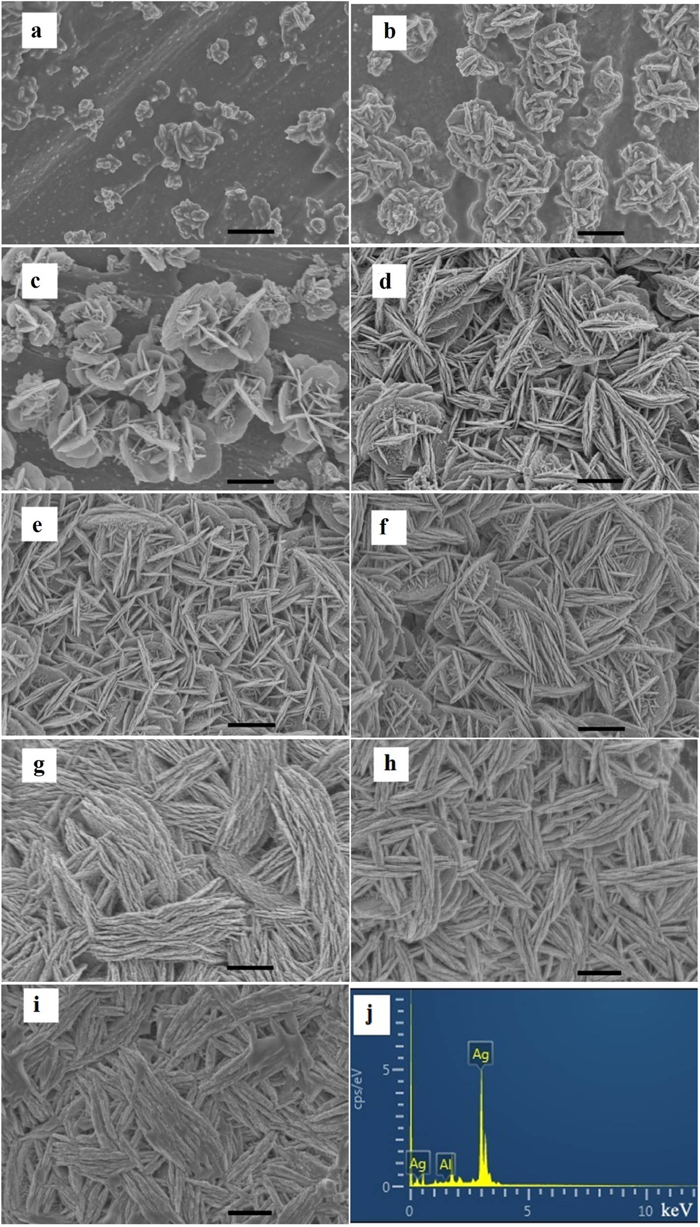 Figure 2 
                  SEM Images of the products obtained at different reaction time: (a) 5 s, (b) 30 s, (c) 60 s, (d) 5 min, (e) 15 min, (f) 30 min, (g) 60 min, (h) 1.5 h, (i) 2.0 h, and (j) EDS spectrum of Ag shown in Figure 2g. The scale bar is 1 μm.
               