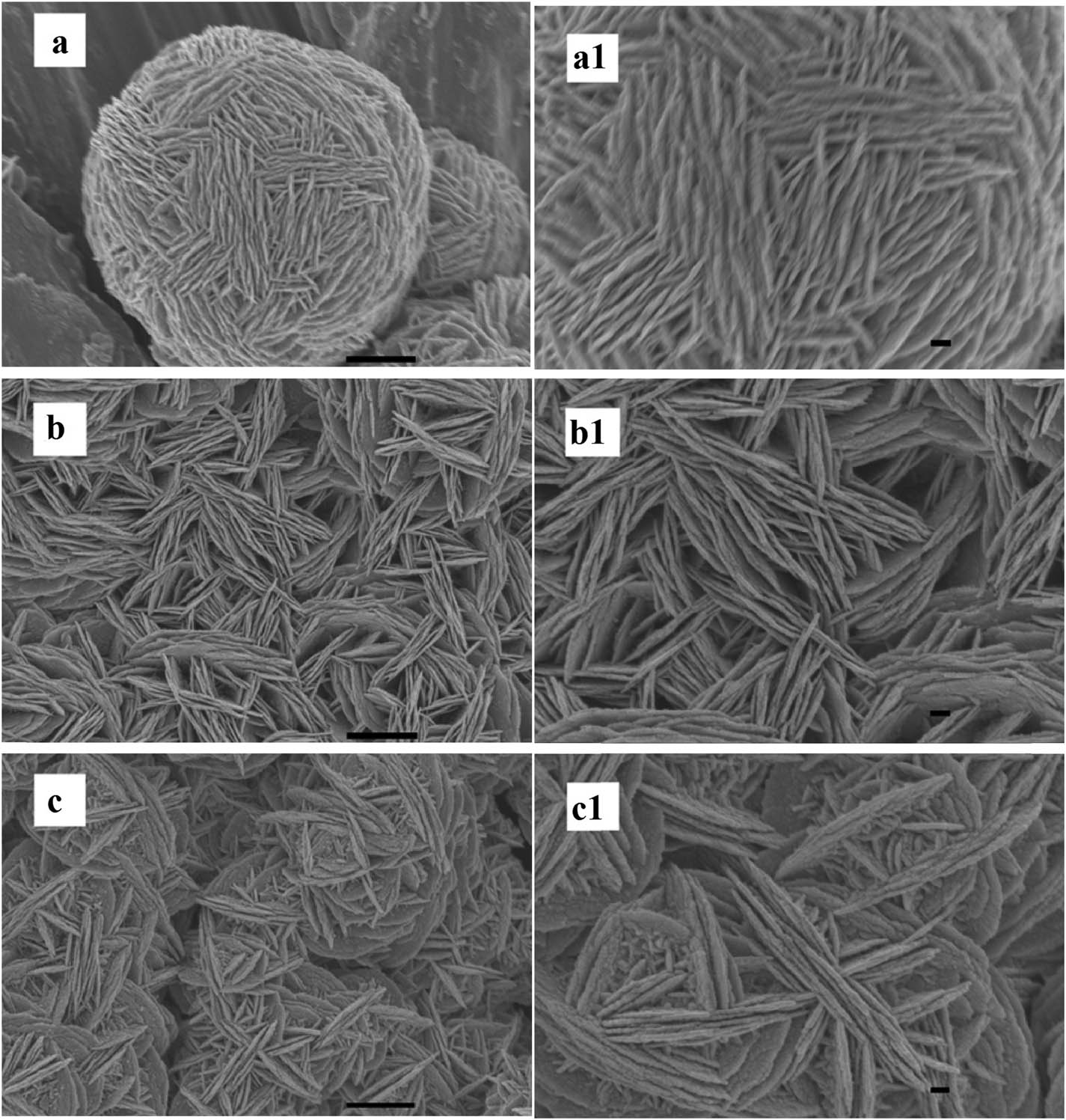 Figure 4 
                  SEM Images of the products obtained at different concentrations of NaF/HNO3: (a) 0, (b) 20/10, (c) 40/20 mM, the reaction time was 30 min (scale bar, 1 μm), and (a1–c1) their corresponding magnified images (scale bar, 200 nm).
               