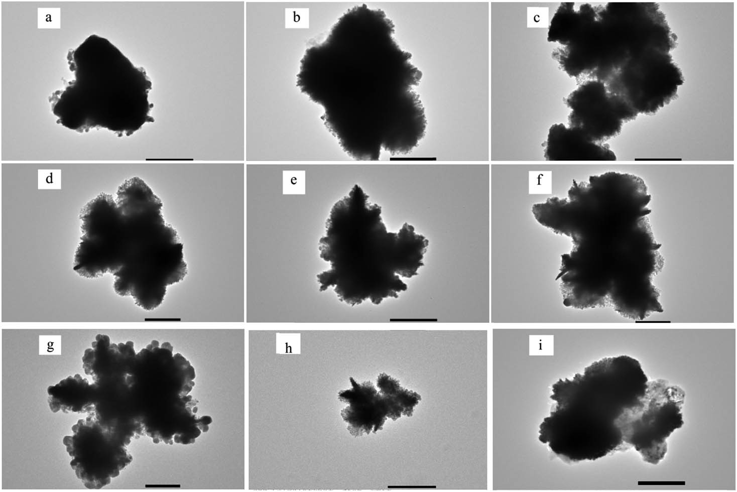 Figure A4 
                  TEM image of a broken piece of the Ag nanosheets at different reaction time: (a) 5 s, (b) 30 s, (c) 60 s, (d) 5 min, (e) 15 min, (f) 30 min, (g) 60 min, (h) 1.5 h, and (i) 2 h (scale bar, 500 nm).
               