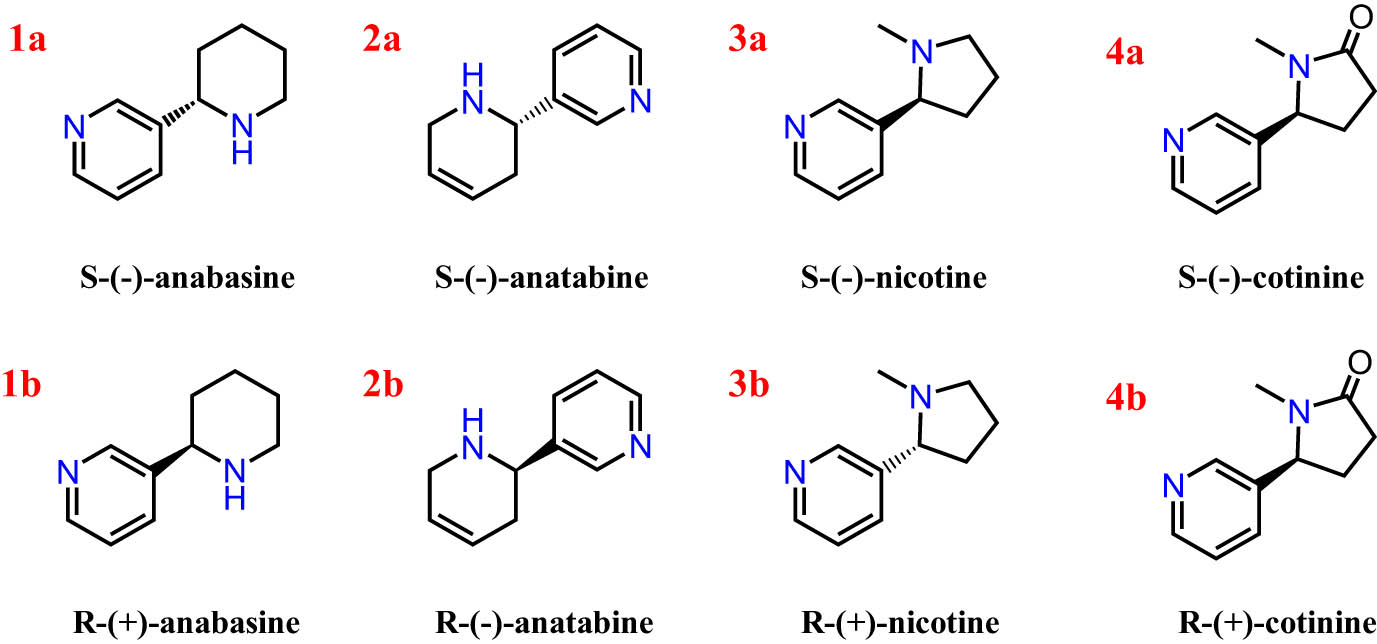 Teaser image from the article