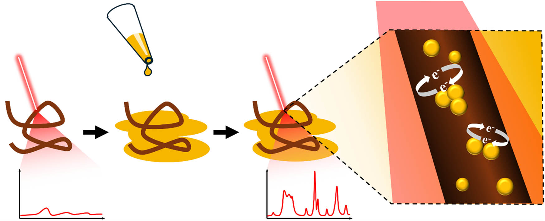 Scheme 1
A schematic showing how a conventional Raman spectrum of a strand of hair can be significantly intensified with the addition of (Au)NPs, which absorb the incident light (red) and, when in close proximity to each other, induce a strong electromagnetic field from the sharing of their electrons.