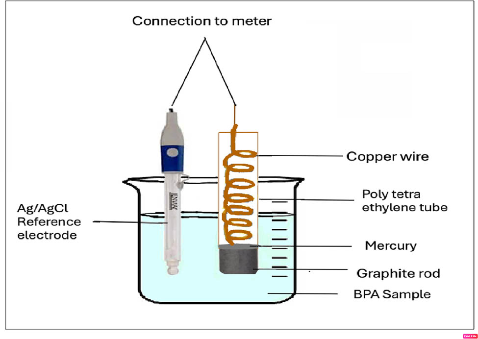 Scheme 1
Schematic diagram of electrode assembly.