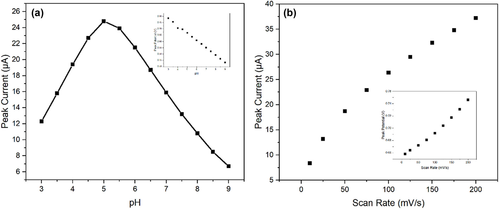 Figure 7 
                  Optimization of experimental parameters: (a) effect of pH on peak current response for 50 μM CIN. Inset shows the linear relationship between peak potential and pH. (b) Linear relationship between peak current and the square root of scan rate.