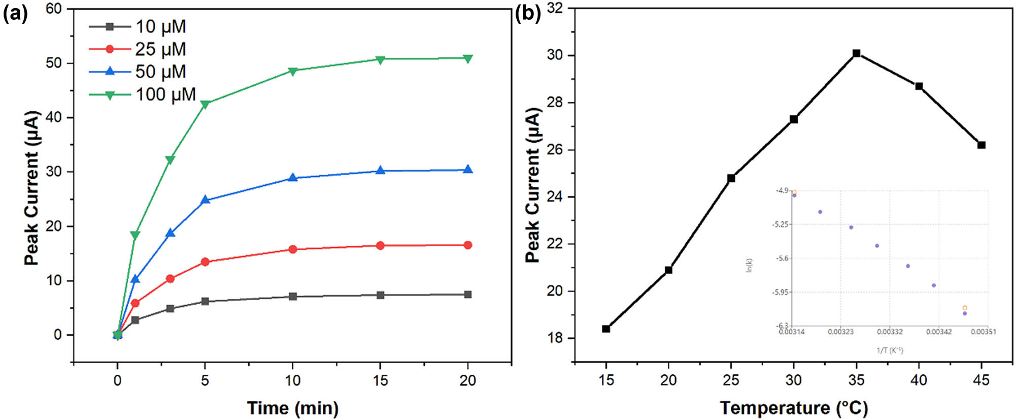Figure 8 
                  Kinetic and thermodynamic studies: (a) time-dependent current response at different CIN concentrations (10–100 μM) showing binding kinetics and (b) temperature dependence of peak current. Inset shows the Arrhenius plot for electron transfer activation energy determination.