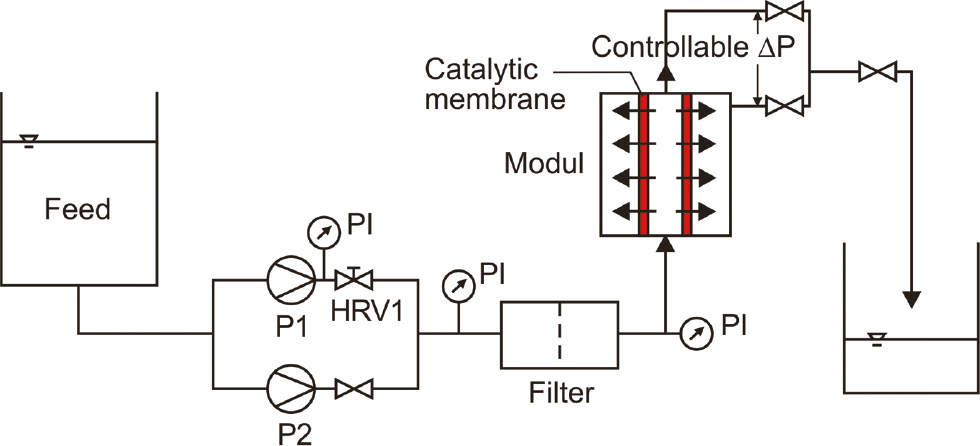 Figure 28: Convective flow in catalytic membranes (Fritsch et al. 2004).