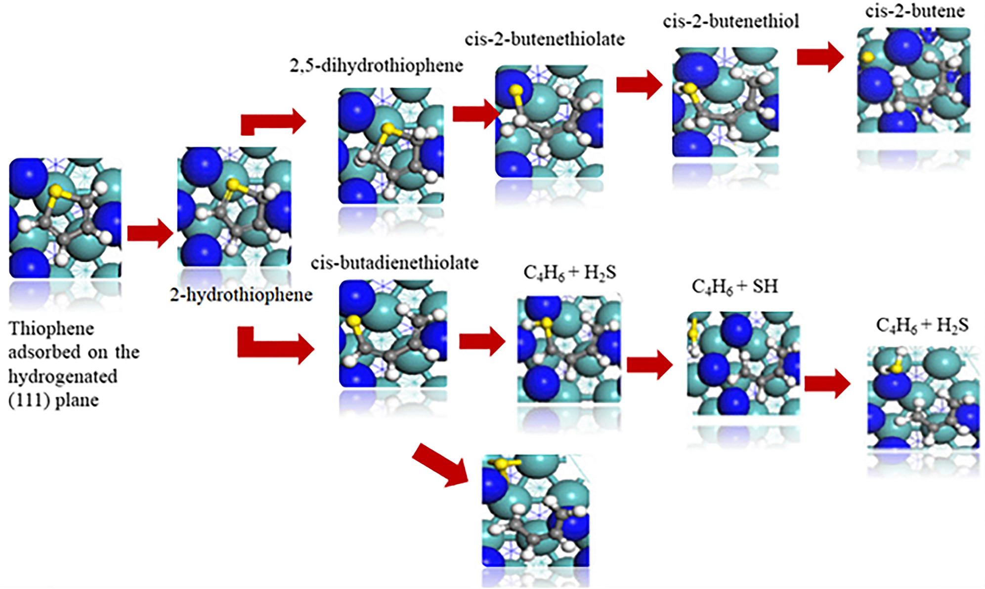 Figure 14: 
The proposed HDS reaction mechanism and geometries of thiophene over γ-Mo2N surface redrawn from Jaf et al. (2018c).
