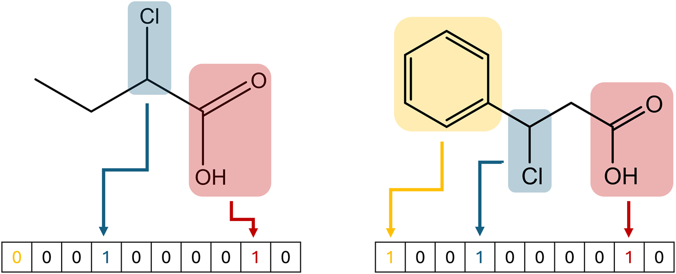 Figure 3:
Generation of the MACCS key for two different molecules. Every element in the vector corresponds to a different substructure. If the substructure is present in the molecule, the corresponding value is set to 1. Else, the value is set at 0.