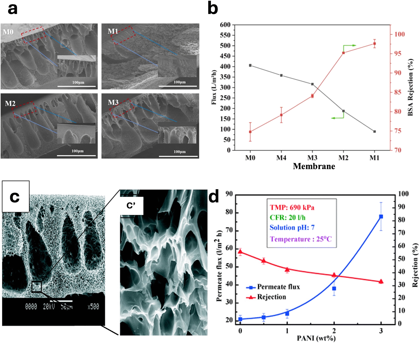 Figure 4: 
Membrane morphologies and performances. (a) Cross section of the membranes with different solvent ratios. (b) Pure water flux and BSA rejection; reproduced from (Lin et al. 2023) with permission from Elsevier. (c) SEM image of membrane with PANI particles (2 %-wt). (d) Effect of PANI concentration on flux and rejection of UF membrane; reproduced from (Mukherjee et al. 2015) with permission from RSC Publications.
