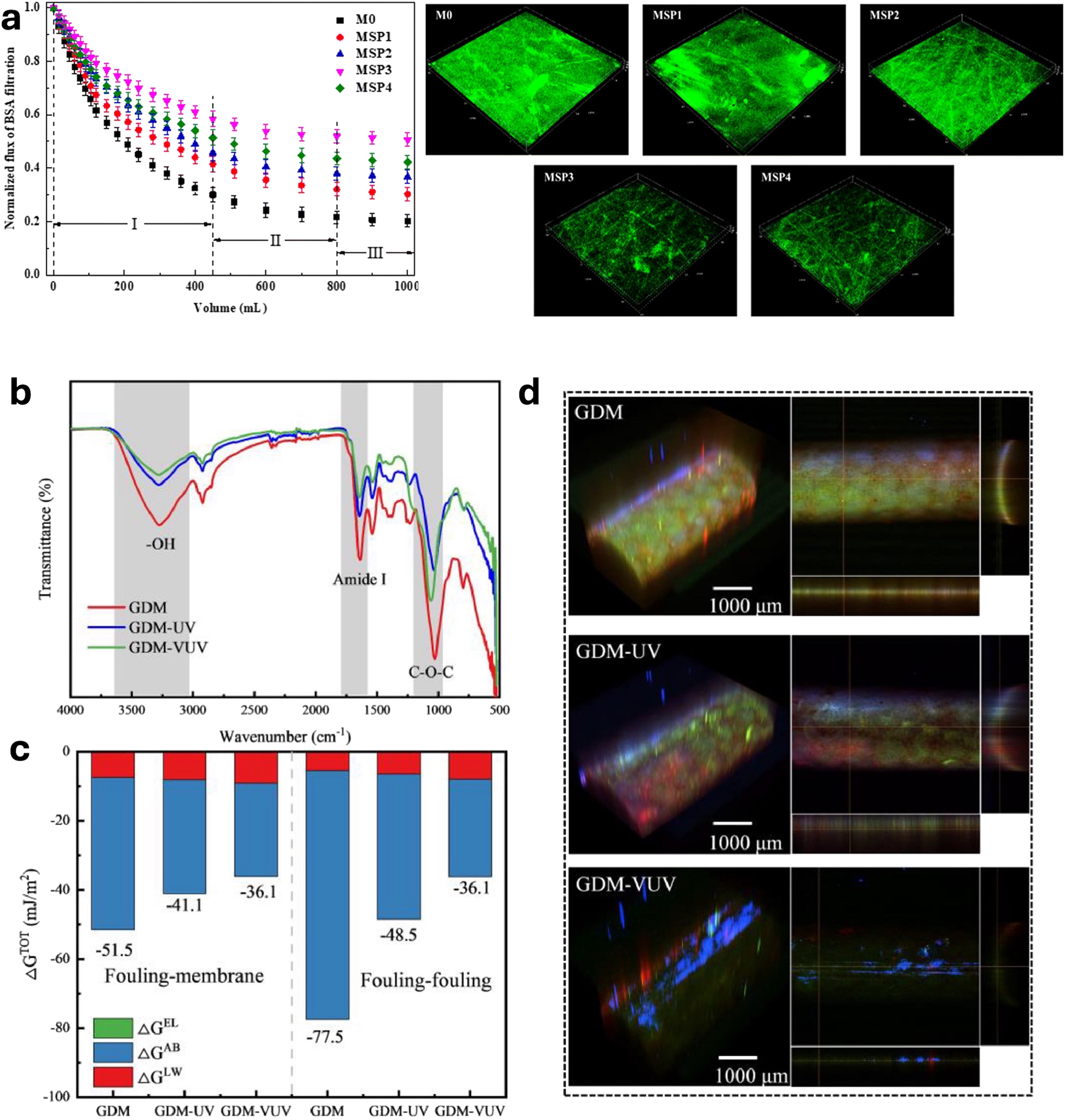 Figure 8: 
Fouling characterizations. (a) Flux profile and foulant layer on the membranes taken by CLSM; reproduced from (Wang et al. 2024) with permission from RSC publications. (b) ATR-FTIR spectra, (c) Gibbs free energy of fouling-membrane and fouling-fouling interactions, and (d) CLSM images of component distribution on membrane surface; panels (b–d) reproduced from (Feng et al. 2023) with permission from Elsevier.
