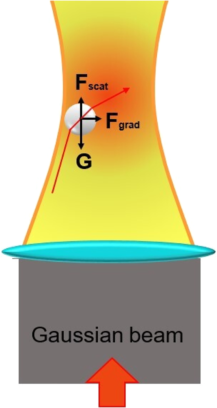 Figure 1:
Schematic of optical tweezers capture.