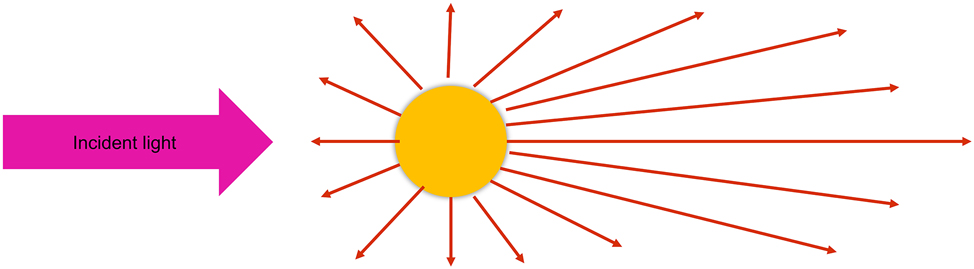 Figure 3:
Schematic of Mie scattering for large particles.