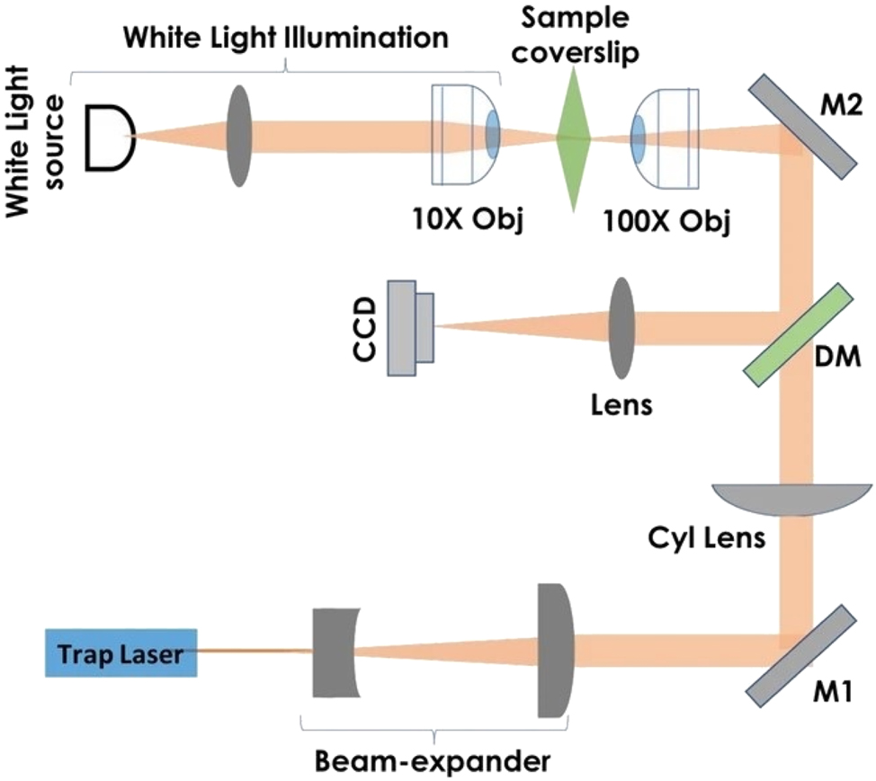 Figure 5:
Schematic of the developed lightsheet optical tweezer (LOT) system (Mondal et al. 2022; reproduced with permission from Springer Nature).