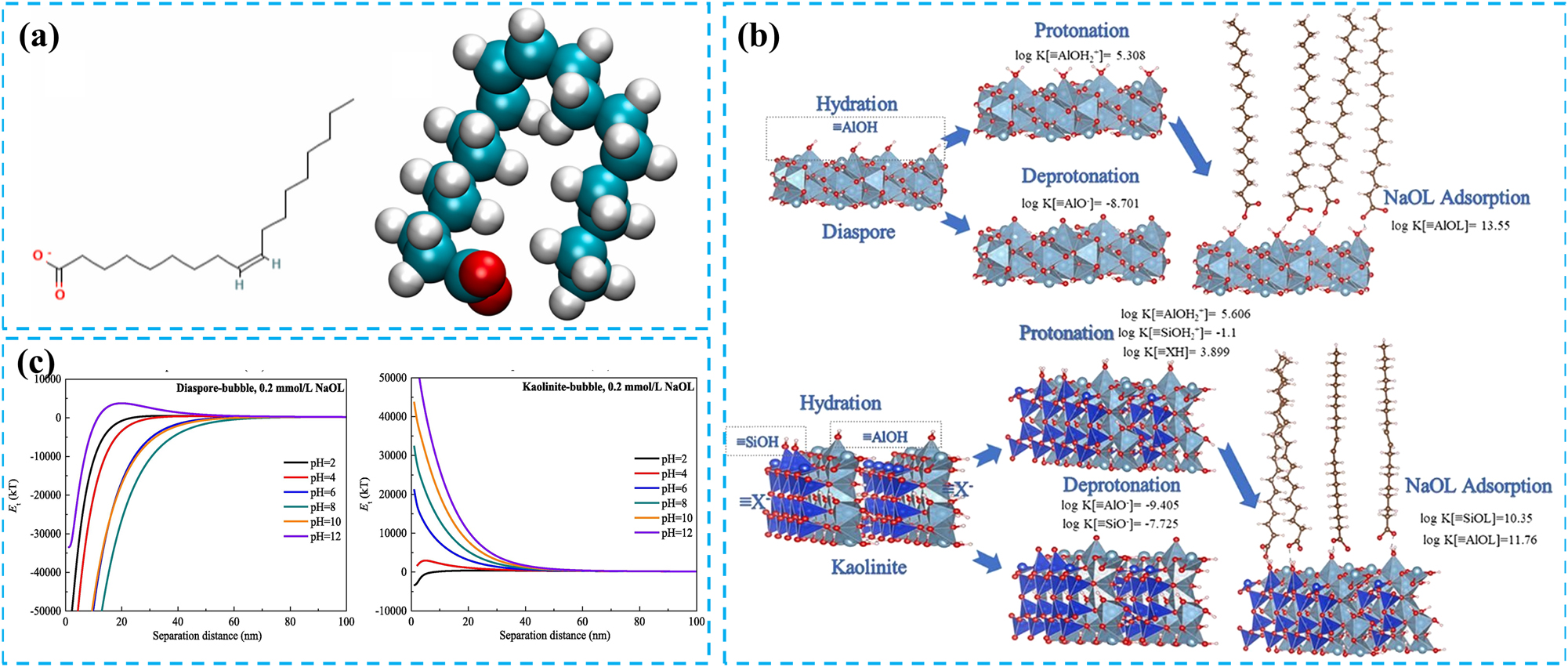 Figure 2:
The influence of different conditions on mineral surface adsorption. (a) Planar and three-dimensional structural representations of OLL. Reprinted with permission from Elsevier (copyright 2023) (Wang et al. 2023). (b) Adsorption capacity of sodium oleate on mineral surfaces, as calculated using a surface complexation model. Reprinted with permission from Elsevier (copyright 2022) (Gao et al. 2022). (c) Influence of pulp pH on the DLVO interaction energy between diaspore and kaolinite particles and bubbles. Reprinted with permission from Elsevier (copyright 2022) (Zhang et al. 2022a).