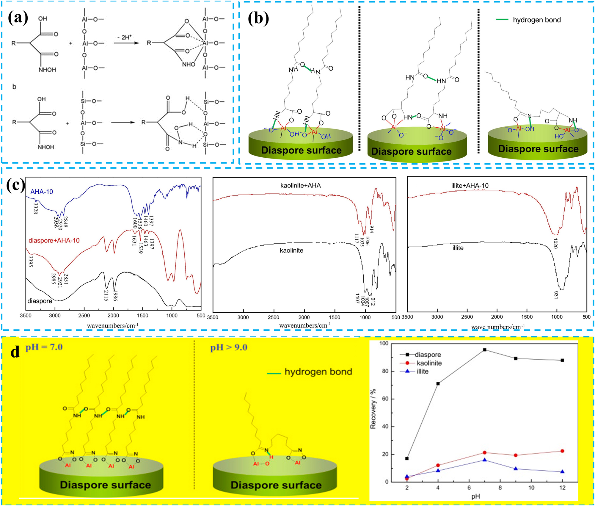 Figure 3:
The interaction between hydroxamic acid collectors and minerals. (a) Action mode of carboxyl hydroxamic acid on mineral surfaces. Reprinted with permission from Elsevier (copyright 2010) (Jiang et al. 2010). (b) Schematic diagram of possible adsorption model of AHA-10 on diaspore surface. Reprinted with permission from Elsevier (copyright 2016) (Deng et al. 2016). (c) FTIT spectra of diaspore and aluminosilicate minerals before and after interaction with AHA-10. Reprinted with permission from Elsevier (copyright 2016) (Deng et al. 2016). (d) Effect of pH on the collecting performance of NHOD. Reprinted with permission from Elsevier (copyright 2015) (Deng et al. 2015).