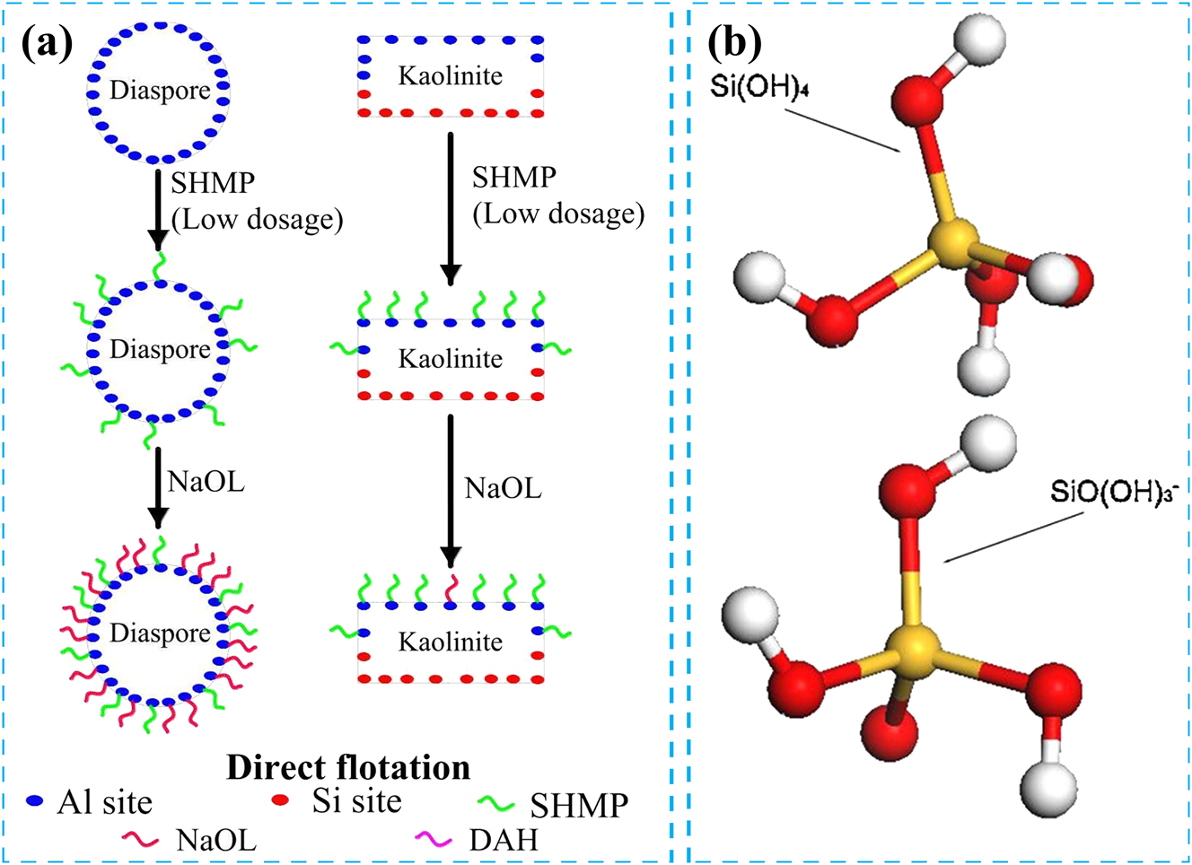 Figure 5:
The role of depressant in flotation process. (a) Schematic of the mechanism of action of SHMP on bauxite direct flotation system. Reprinted with permission from Elsevier (copyright 2022) (Zhang et al. 2022b). (b) Hydrolysates of water glass in aqueous solution. Reprinted with permission from Elsevier (copyright 2016) (Han et al. 2016).