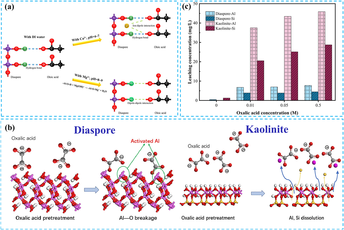 Figure 6:
The effect of calcium magnesium ions and oxalic acid pretreatment on mineral floatability. (a) Cationic effect model of the adsorption of collectors in diaspore flotation. Reprinted with permission from Elsevier (copyright 2019) (Fang et al. 2019). (b) Mechanical model of oxalic acid pretreatment of diaspore and kaolinite. Reprinted with permission from Elsevier (copyright 2022) (Li et al. 2022). (c) Effect of oxalic acid on Al and Si dissolution of diaspore and kaolinite. Reprinted with permission from Elsevier (copyright 2022) (Li et al. 2022).