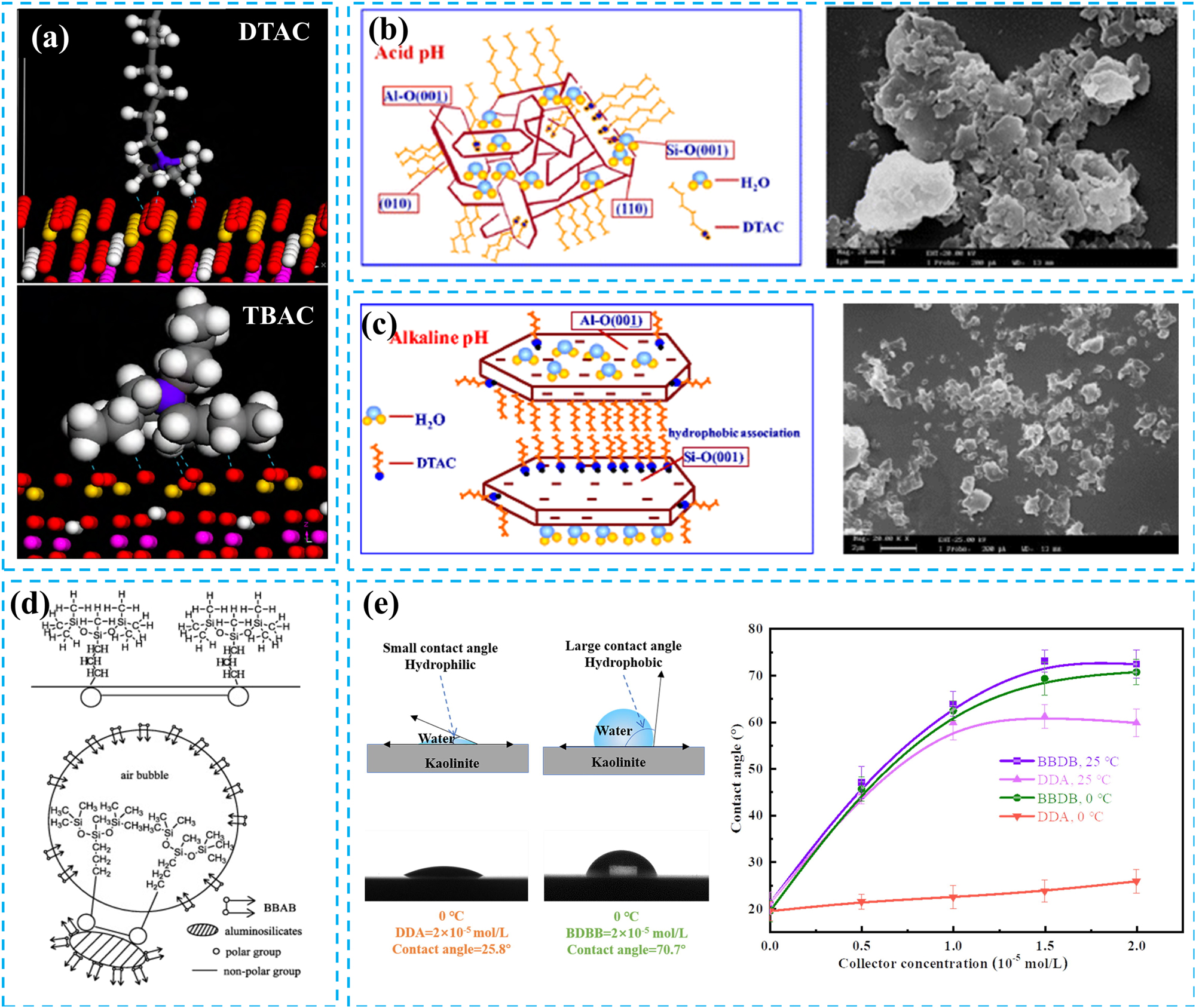 Figure 7:
Forms of interaction between cationic collectors and mineral surfaces. (a) Hydrogen bonding between DTAC and TBAC formed on the kaolinite (001) surface. Reprinted with permission from The Nonferrous Metals Society of China (copyright 2014) (Yue et al. 2014). (b) Hydrophobic structural modelling and SEM of kaolinite particles adsorbed with DTAC in acidic solution. Reprinted with permission from Springer (copyright 2015) (Xu et al. 2015). (c) Hydrophilic structural modelling and SEM of kaolinite particles adsorbed with DTAC in alkaline solution. Reprinted with permission from Springer (copyright 2015) (Xu et al. 2015). (d) The ‘parachute’ shape structure of BBAB trap and the flotation mechanism of aluminosilicate minerals. Reprinted with permission from Elsevier (copyright 2014) (Huang et al. 2014). (e) The effect of BBDB and DDA concentrations on the contact angle of kaolinite surface at 25 °C and 0 °C. Reprinted with permission from Elsevier (copyright 2021) (Zhang et al. 2021b).