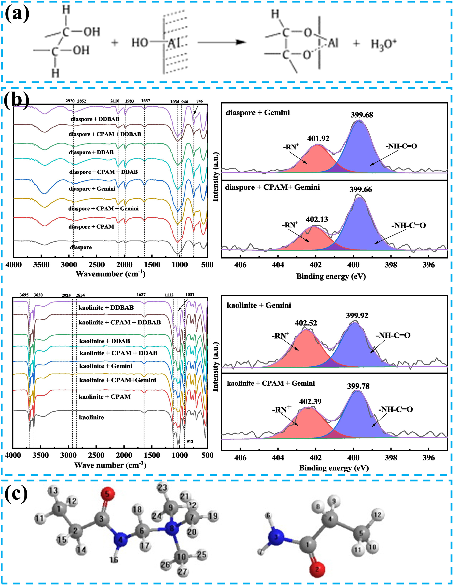 Figure 8:
Common inhibitors and mineral interaction forms for reverse flotation desilication. (a) Equation of interaction between starch and metal hydroxylated substances. Reprinted with permission from Elsevier (copyright 2009) (Xia et al. 2009). (b) FTIR and XPS spectra of diaspore and kaolinite before and after CPAM adsorption. Reprinted with permission from Elsevier (copyright 2025) (Zhang et al. 2025). (c) Cationic groups (left) and amide groups (right) of CPAM. Reprinted with permission from Elsevier (copyright 2007) (Liu et al. 2007).