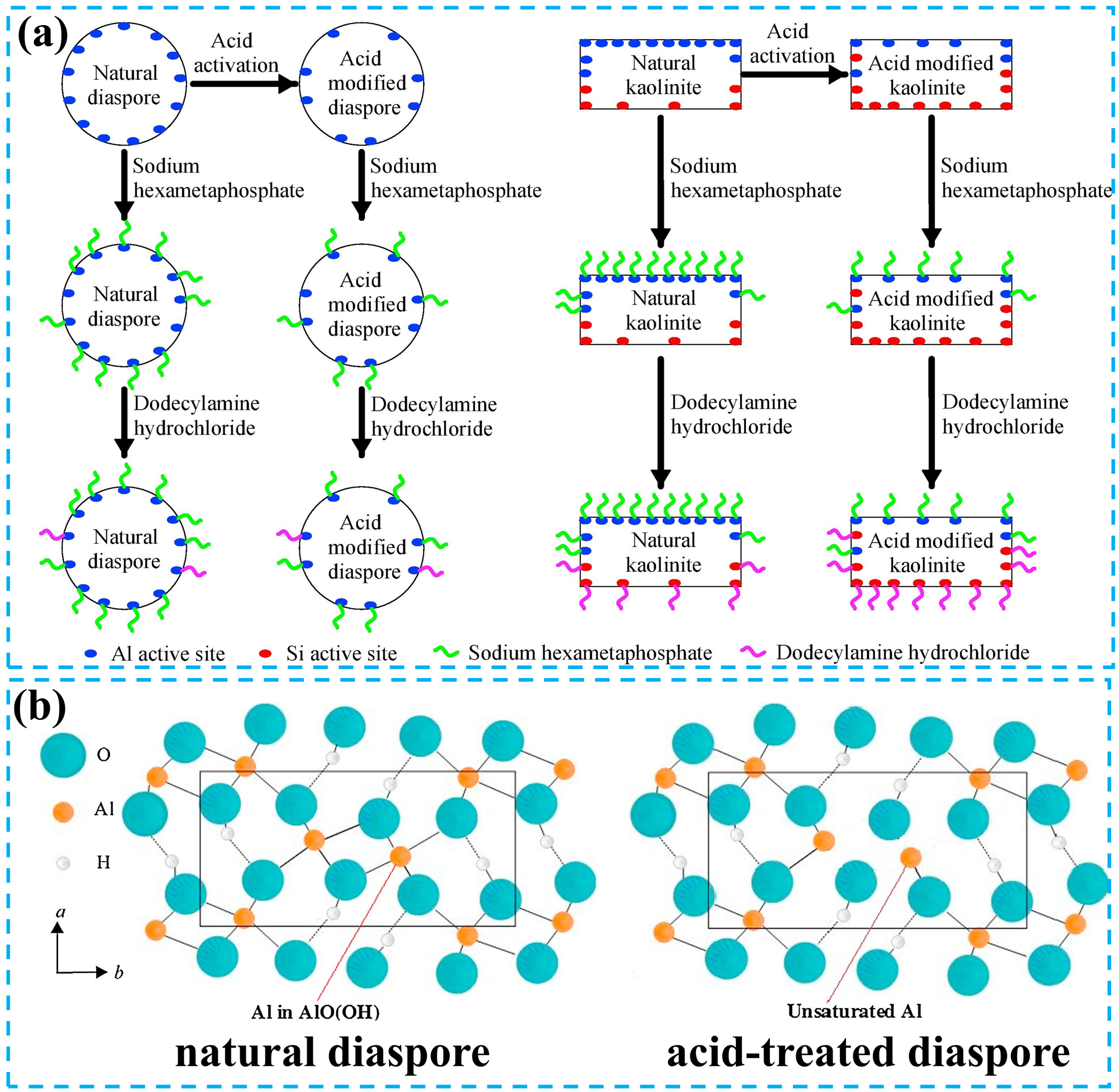 Figure 9:
The effect of acid treatment on the surface active sites of minerals. (a) Schematic diagram of the effect of acid treatment on mineral surface active sites and the adsorption of depressants and collectors on diaspore and kaolinite. Reprinted with permission from Elsevier (copyright 2018) (Zhang et al. 2018a). (b) Crystal structure projection of the surface of diaspore before and after acid treatment. Reprinted with permission from Elsevier (copyright 2019) (Zhang et al. 2019).