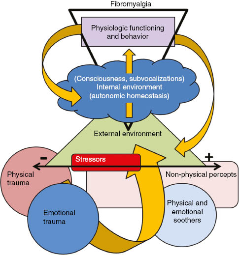 Figure 1: A simplified Venn-map of environmental stimuli and FMS.The Venn-diagram map shows the flow of environmental stimuli while approximating interactions. External environment stimuli exist along a dual continuum from physical to non-physical stimuli and across negative to positive influences. Physical trauma often encompasses elements of emotional trauma and both represent extremes of negative influences. Stressors impart negative influence and can involve non-physical percepts. Physical and emotional soothers represent more positive influences and can include non-physical percepts, which also have a degree of negative to positive influence. All contribute to the total external environment influence. The external environment directly regulates the internal environment, which is created from subconscious autonomic homeostatic mechanisms and conscious subvocalizations. The internal environment, which encompasses an individual’s affective disposition, will directly influence both physiologic functioning and behavior, both of which influence the internal and external environments, respectively. Increased negative influence from external stressors and/or decreased external soothers can create a negative internal environment through dysregulated autonomic homeostasis and/or negative subvocalization (i.e. catastrophizing; type D personality). In FMS, altered central processing of stimuli and debilitating changes in physiologic functionality may be related to events that skew these environments toward negative influences. A feed-forward cycle can become established whereby a negative internal (affect) environment continues to drive altered physiology and behavior, reinforcing the negative influence of the external and internal environments.