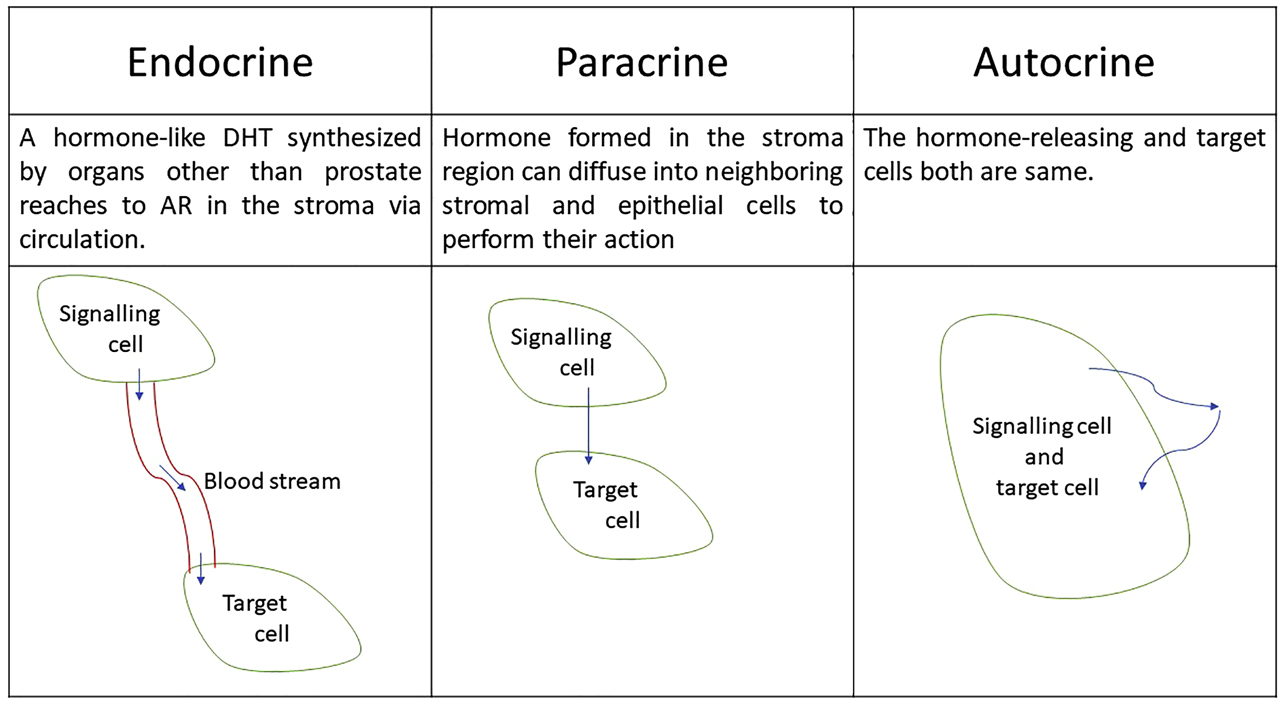 Figure 1: Different hormonal signalling mechanism.