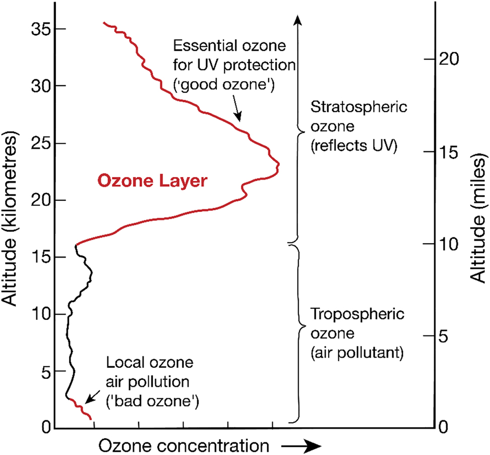 Figure 6: 
Concentration profiles of O3 in the atmosphere [100].

